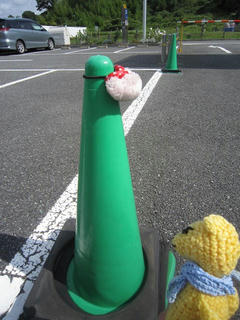 0807IMG_6173.jpg