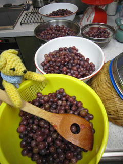 0821IMG_6360.jpg
