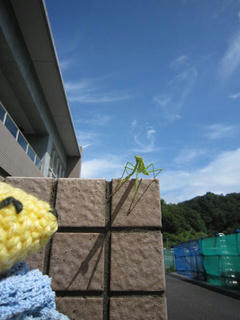 0824IMG_6368.jpg
