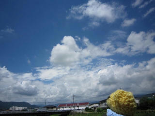 0829IMG_6375.jpg