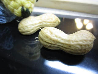 0830IMG_6389.jpg