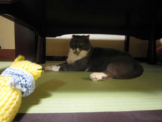 0901IMG_6395.jpg