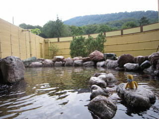 0909-1IMG_6638.jpg