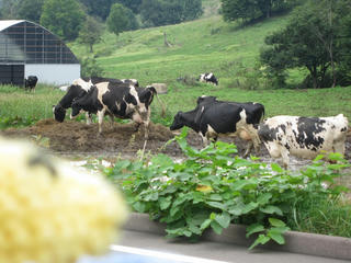 0909-2IMG_6664.jpg