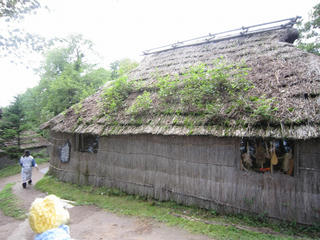 0910-33IMG_6874.jpg
