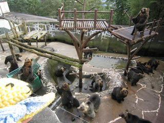 0910-4IMG_6904.jpg
