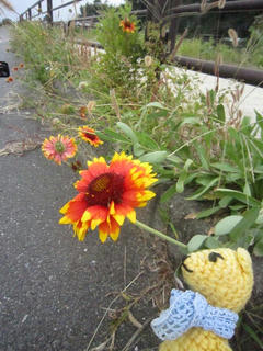 1001IMG_7339.jpg