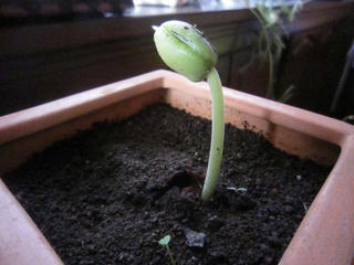 1011-6IMG_7435.jpg