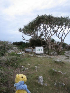 1014-6IMG_7496.jpg