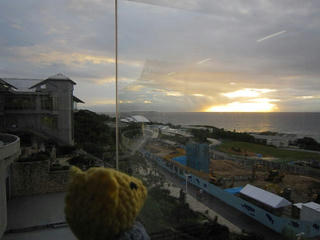 1015-7IMG_7694.jpg