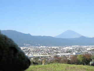 IMG_8199.jpg