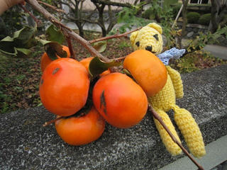 1119IMG_8290.jpg