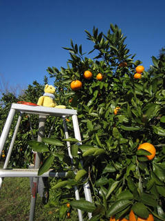 1212IMG_8657.jpg