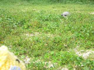 1227IMG_7777.jpg