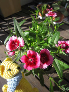 0106IMG_8941.jpg