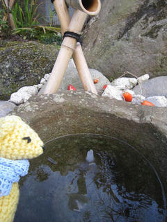 0107IMG_8942.jpg