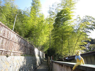 0117IMG_9057.jpg