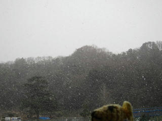 0124IMG_9130.jpg