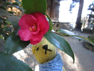 0127IMG_9012.jpg