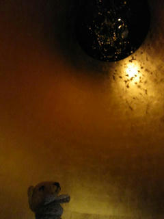 0129IMG_8965.jpg