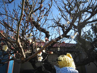 0210IMG_9245.jpg