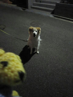 0215IMG_9280.jpg