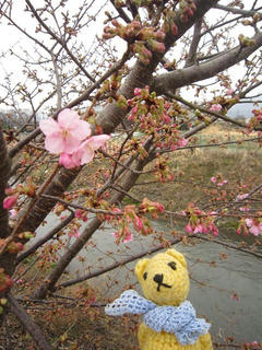 0308IMG_9439.jpg
