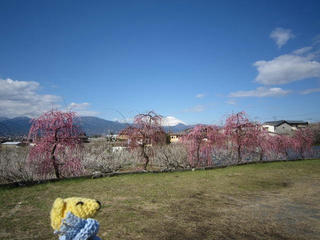 0313IMG_9576.jpg