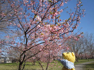 0323IMG_9659.jpg