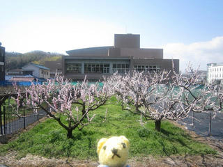 0401IMG_9762.jpg