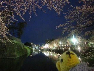 0406IMG_9835.jpg