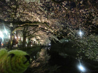 0406-1IMG_9839.jpg