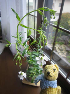 0416IMG_9968.jpg
