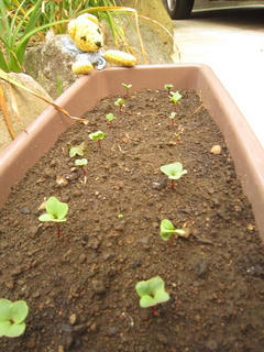 0513IMG_0323.jpg