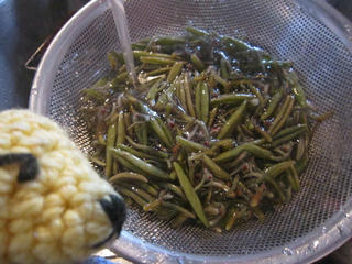 0609IMG_0551.jpg