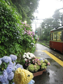 0702IMG_0853.jpg