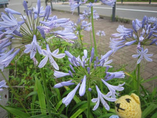 0706IMG_0897.jpg