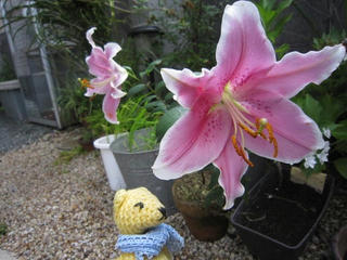0714IMG_0937.jpg
