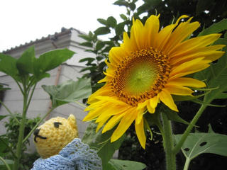 0725IMG_1009.jpg