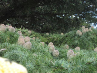 1008IMG_1820.jpg