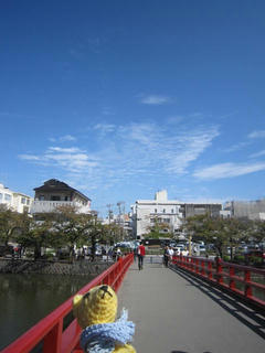 IMG_1863.jpg
