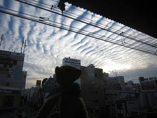 1014-1IMG_1938.jpg