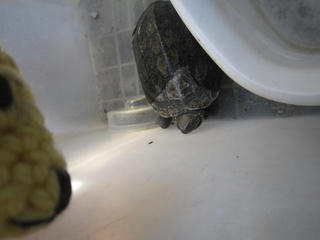 1022IMG_2260.jpg