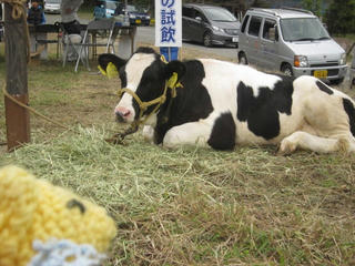 1111IMG_2585.jpg