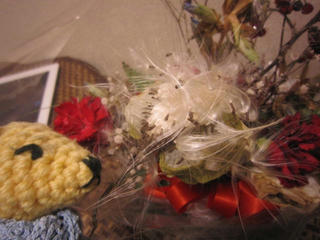 IMG_2591.jpg