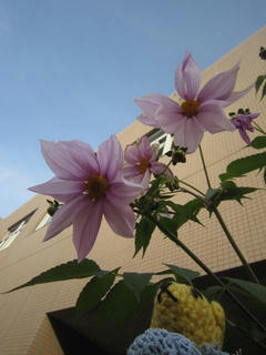 1201IMG_4008.jpg