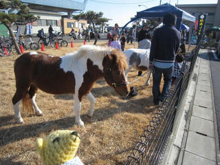 1216IMG_4210.jpg