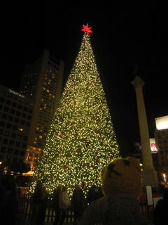 1224IMG_3468.jpg