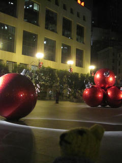 1224-2IMG_3457.JPG