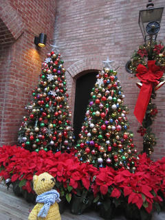 1224-3IMG_3911.JPG